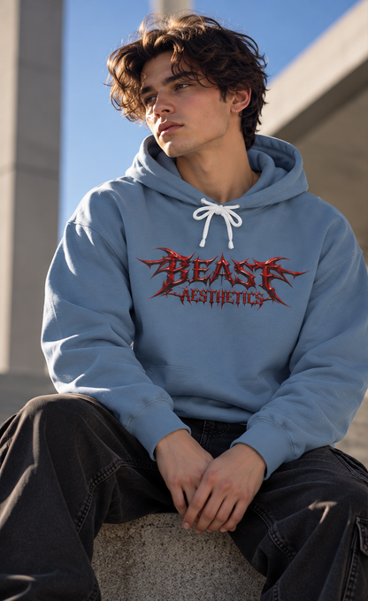 A young man wearing a light blue hoodie with a red and black 'BEAST AESTHETICS' graphic on the chest, sitting outdoors against a concrete and sky background.